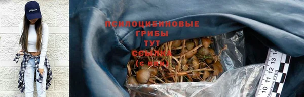 2c-b Абаза