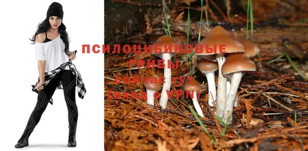 2c-b Абаза